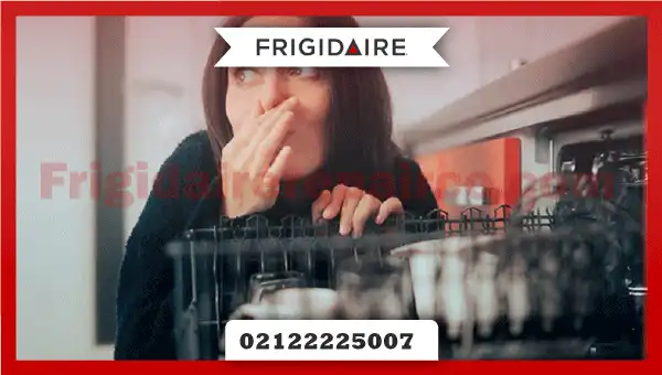 ماشین ظرفشویی شما بوی بدی تولید می کند