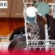 فیوز حرارتی ظرفشویی و نحوه تعویض آن
