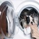 دلایل کف نکردن ماشین لباسشویی