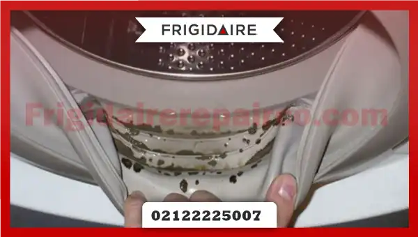 پیشگیری از تجمع کپک بر روی لاستیک ماشین لباسشویی